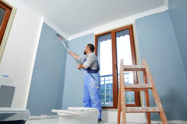 Reliable Double Oak, TX Mold Removal Solutions